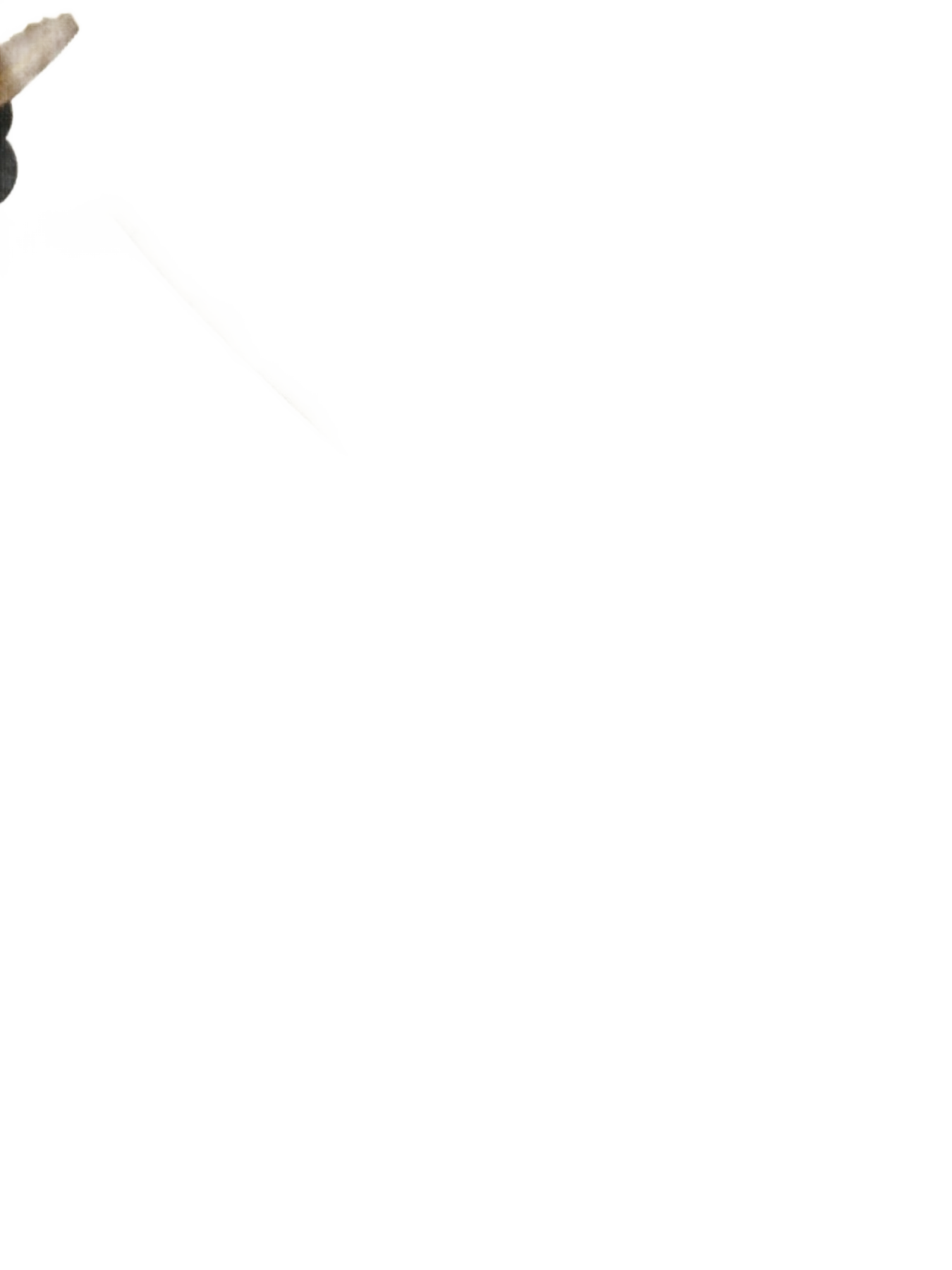 d92a4f216c1e498daf0d087383bb2a54-Max-Origin