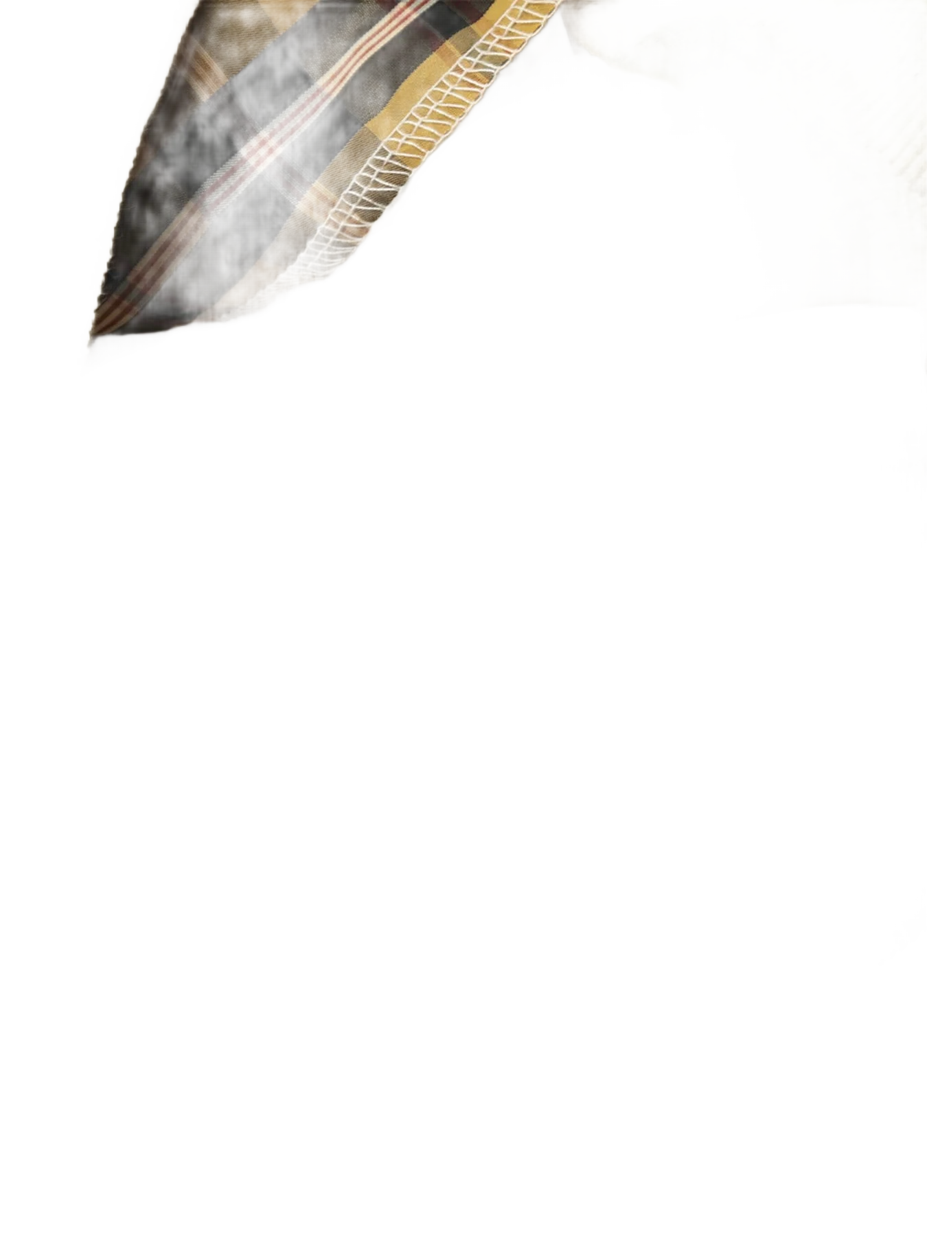 ef6018d4004b404692397e80b65ca0a6-Max-Origin